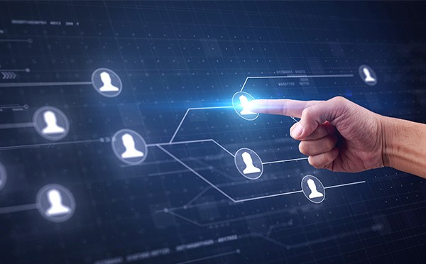 By grasping these key factors, the website can be successfully laid out
