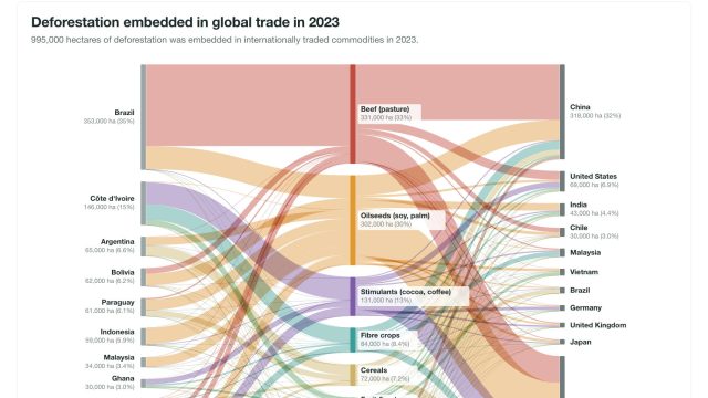 Understanding Deforestation Through Global Trade Impact
