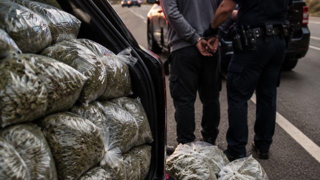 Significant Marijuana Seizure on I-40 Highlights Ongoing Drug Concerns
